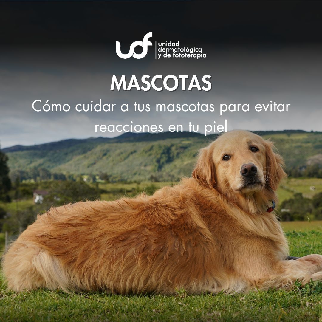 Tu piel y las mascotas